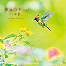 61FOJmKWf+L._AC_UL210_SR210,